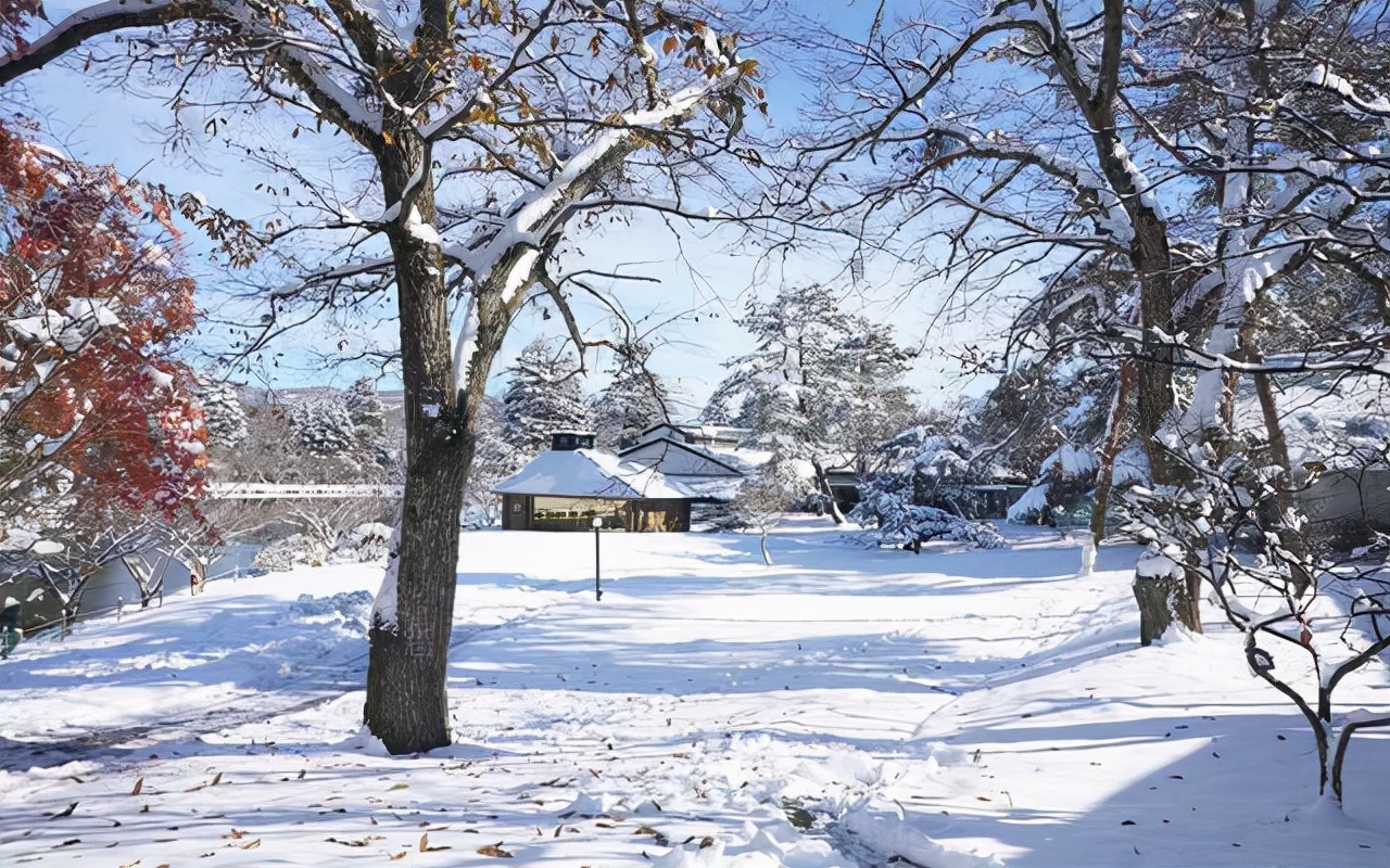 沉稳内敛心思细腻的星座,性格圆滑很会左右逢源的四大星座