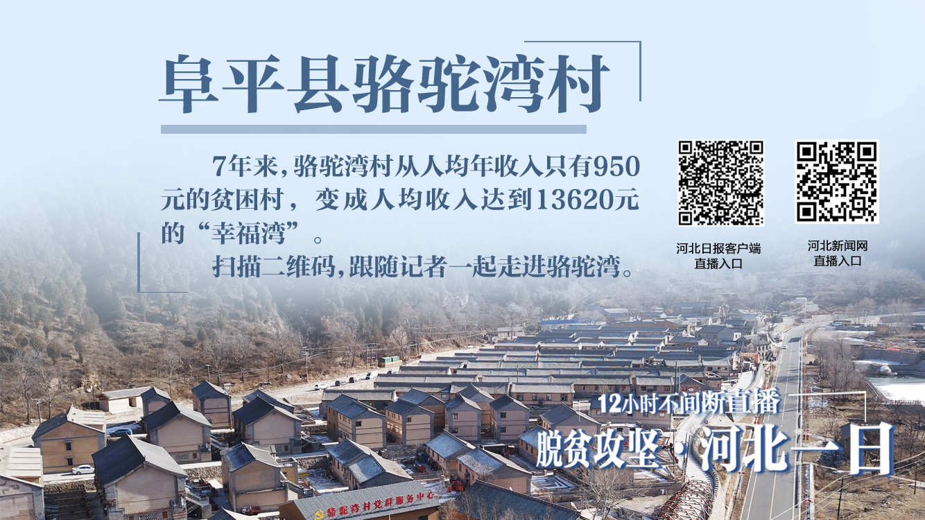 河北脱贫攻坚,图文直播张家口一中