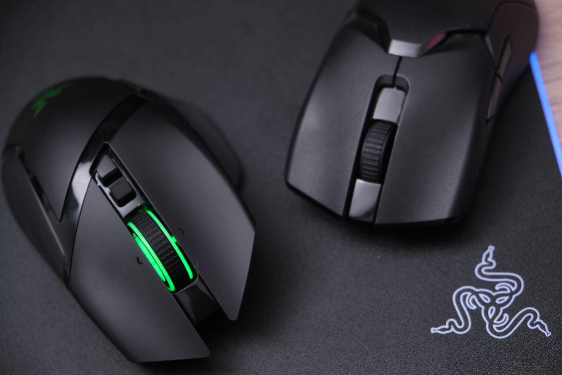 z涓栦唬鍏ヨ亴,z涓栦唬鍏ヨ亴娲诲姩