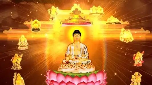 许家印吐槽恒大完整版,许家印亲自设计的恒大足球场