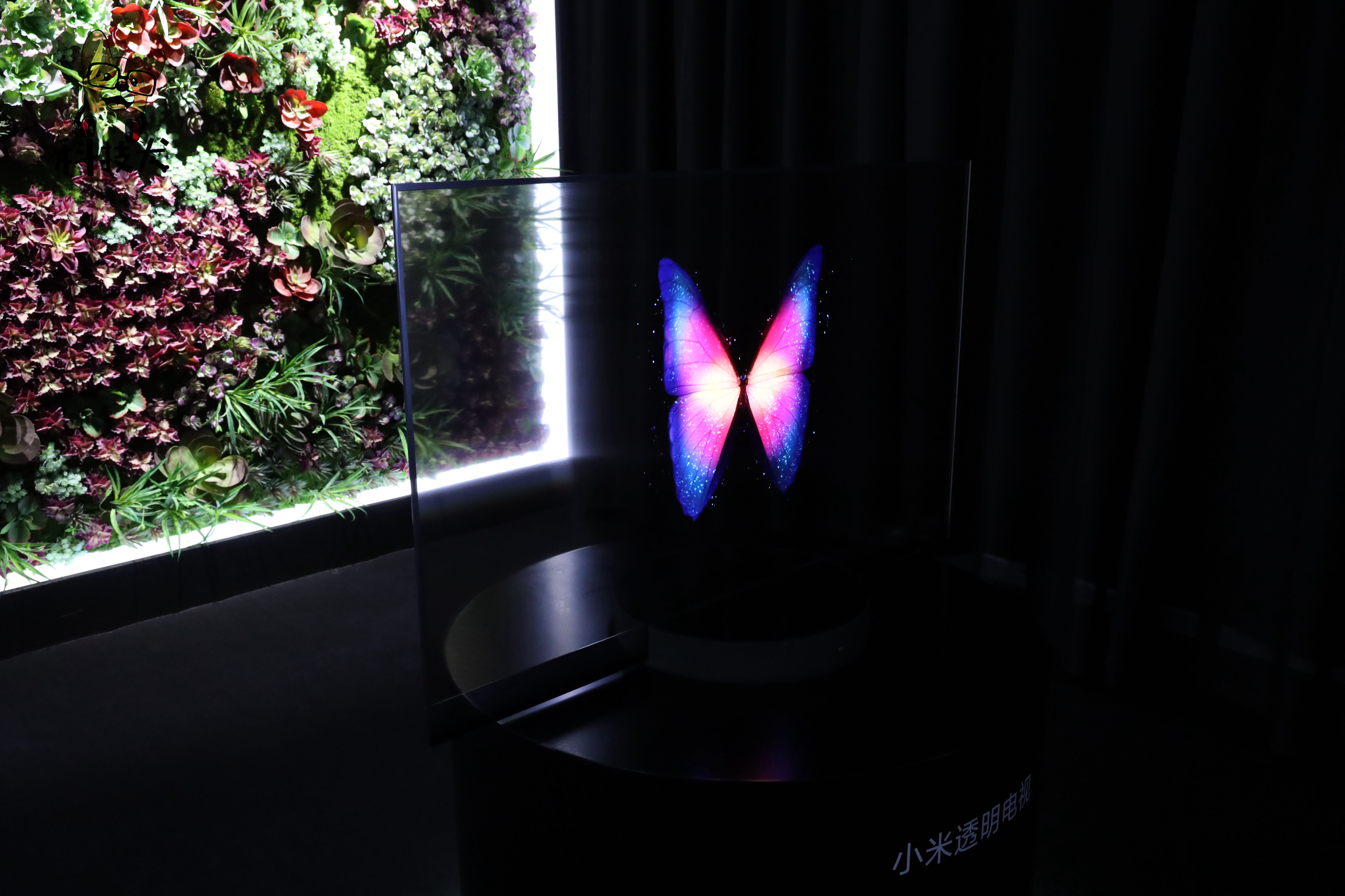 小米科技犬推荐,雷军小米极致爆款