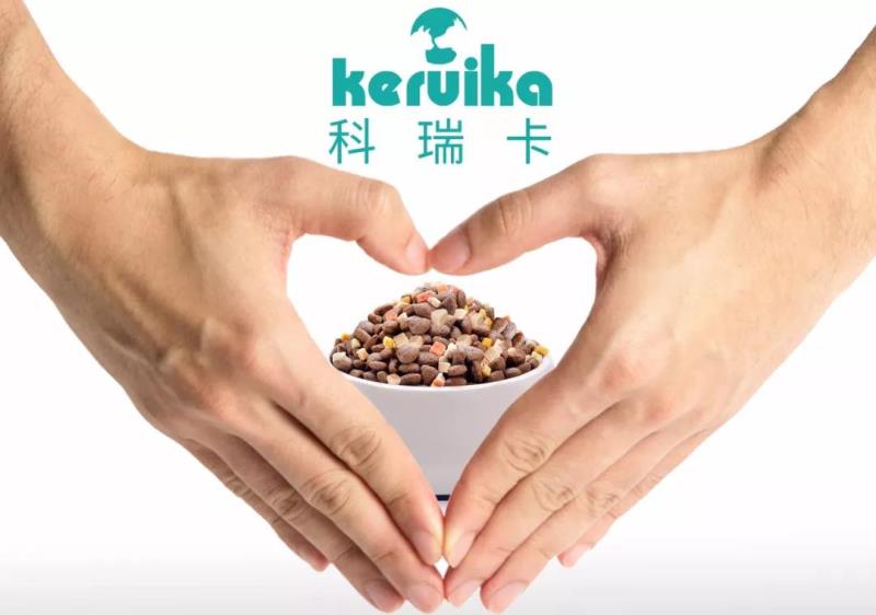 猫咪晚上不睡觉怎么办？「科瑞卡科普」