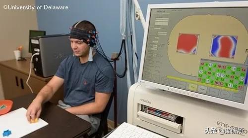 撸猫的好处是什么,撸猫为什么会使人开心