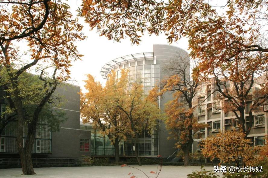 北大附小孩子的日常,北大附小日常学习