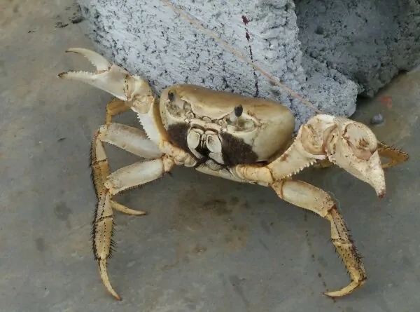 带你去赤道看海,赤道几内亚国家地图