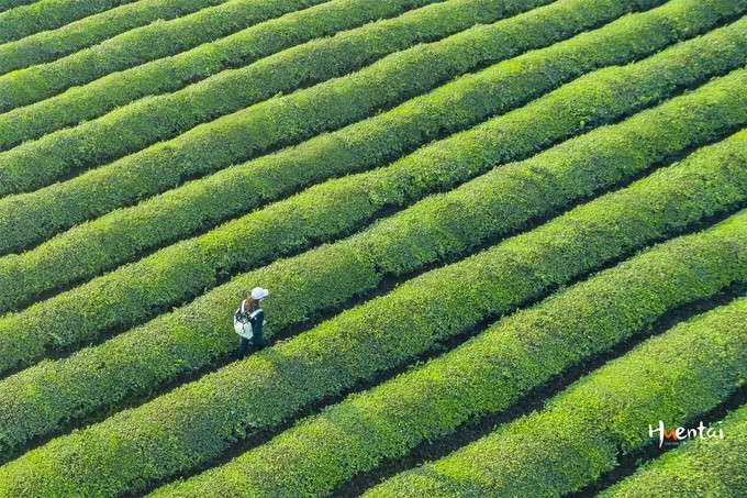 周末自驾游安徽郎溪,门票只花了30块,其它都是原生态秘境