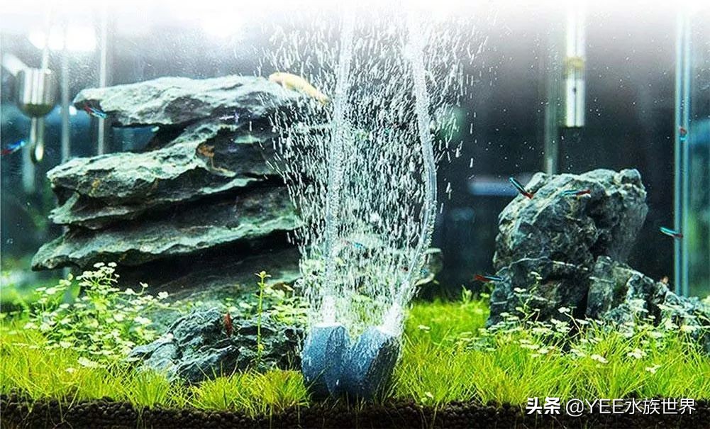 控制和减弱噪音,控制噪音源