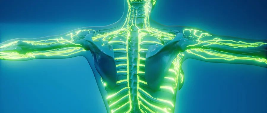 糖尿病自主神经病变怎么确诊,糖友如何预防并发症