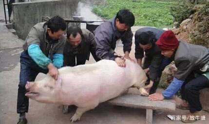 三安光电财务造假案例分析,三安光电财务造假已澄清