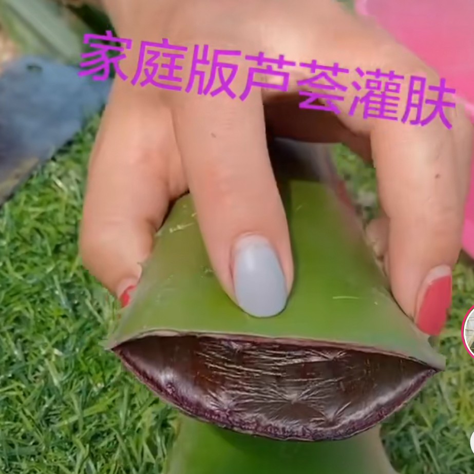 最近最火的芦荟灌肤,抖音芦荟灌肤小气泡