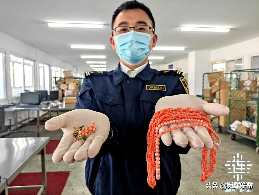 海关查获的东西去哪儿了,海关查获不可思议的东西