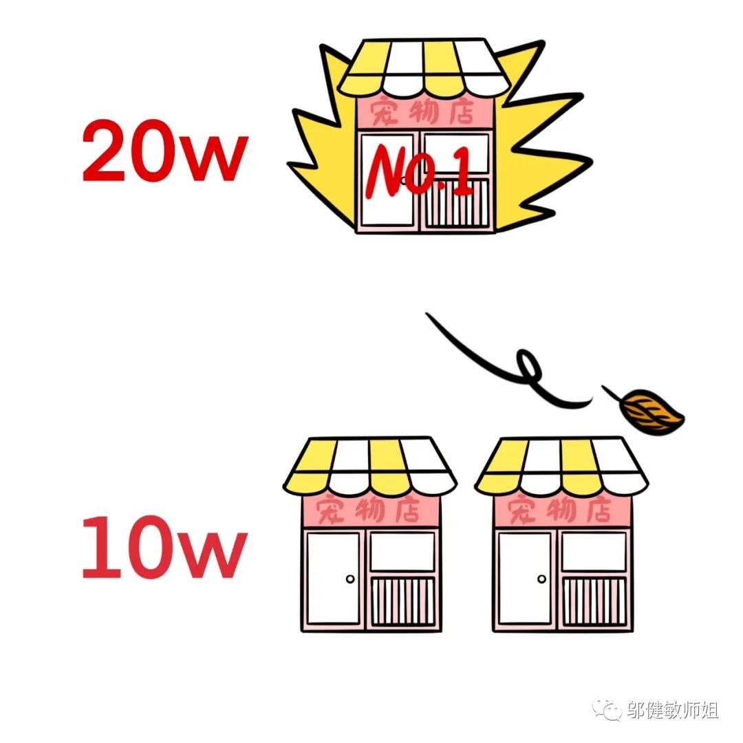 开宠物店卖宠物需要多少钱,揭秘宠物店是怎么赚钱的