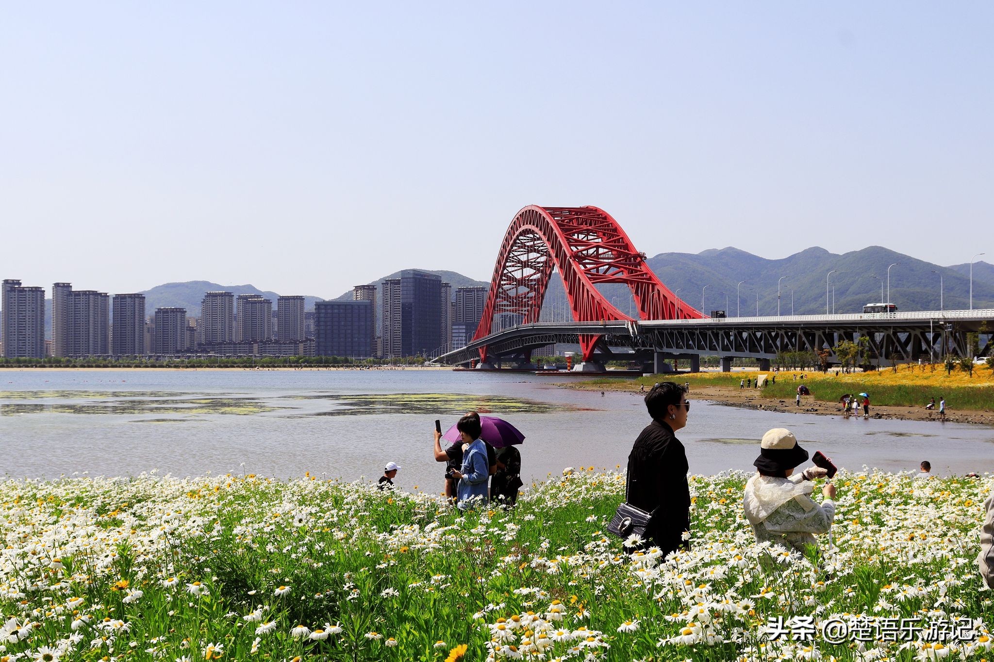 宁波大闸桥花海,宁波风景花海
