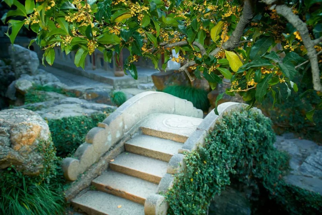 杭州的秋天足够迷人,杭州的秋天特别浪漫