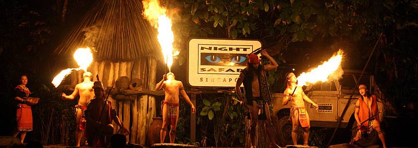 新加坡三个动物园哪个最好,新加坡动物园哪个最值得去看