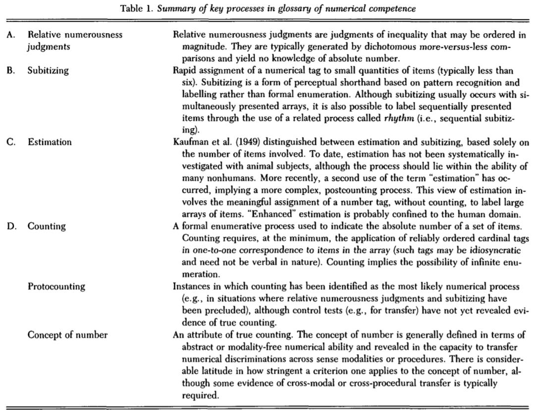 动物中的数学天才说明什么,动物中的数学天才及原因