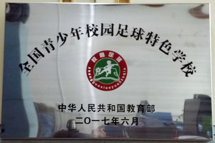 对于青少年足球的发展有什么建议,青少年足球核心力量训练