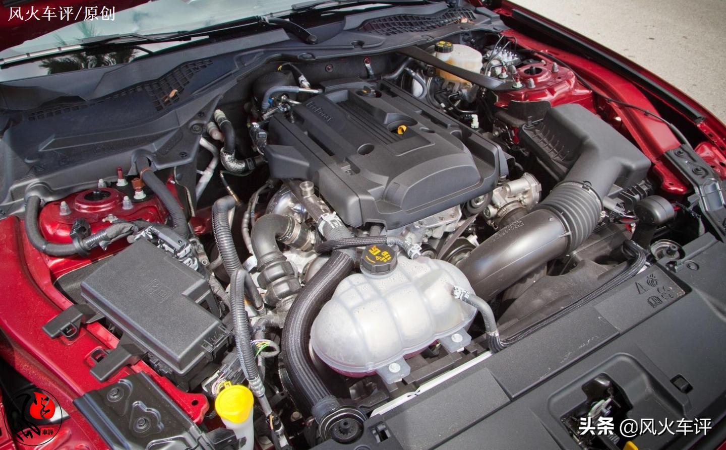 教学简单大黄蜂,福特野马大黄蜂敞篷