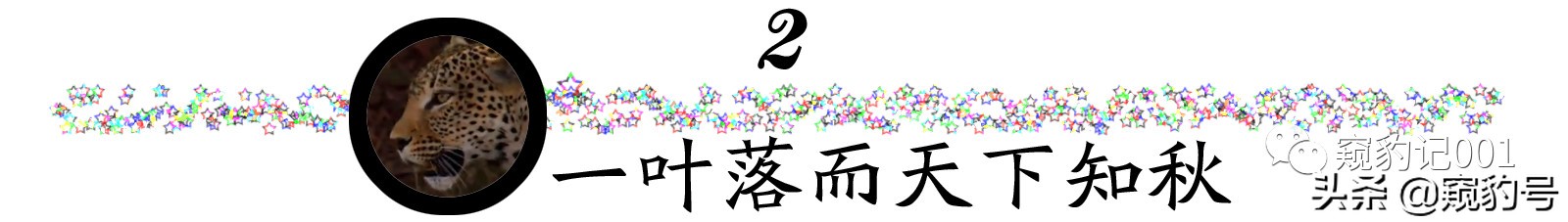 左传人谁无过,左传人谁无过怎么读