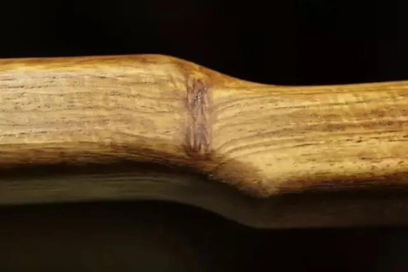 原来你是这样的原始人,原来你是这样的人原版