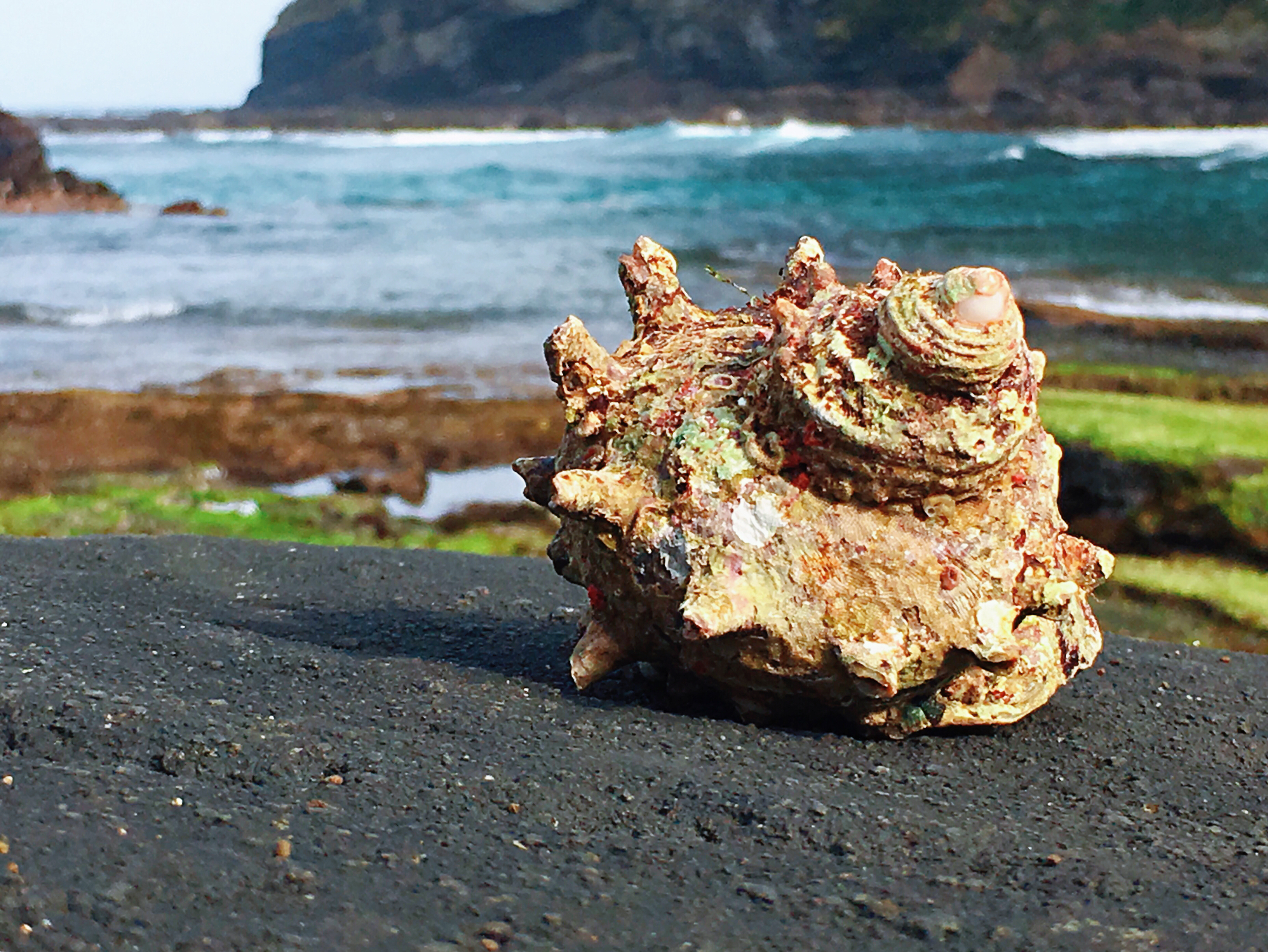 出国游玩新手小白,出国去韩国济州岛打工