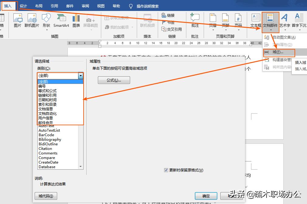 word关于域的操作有哪些,word域的作用和功能