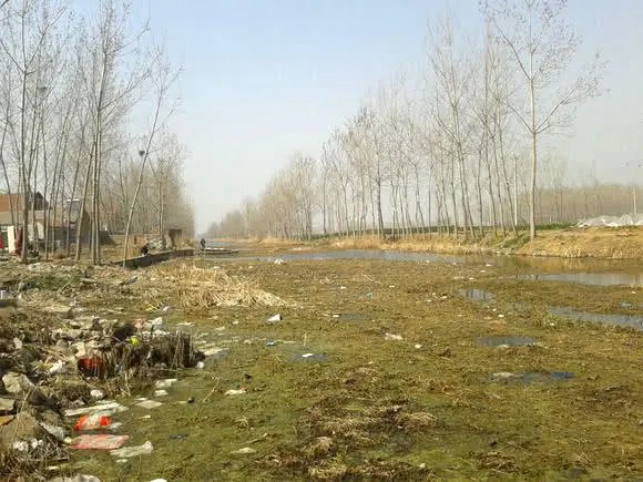 钓到的野生鲫鱼为什么水那么脏,煤油味鲫鱼