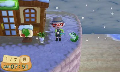 动森为何火爆,动森现在还有人玩吗