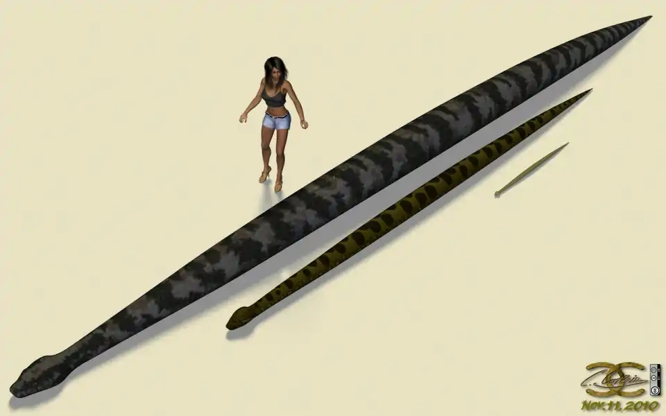 巨蛇恐怖视频真实,巨蛇的恐怖秘密