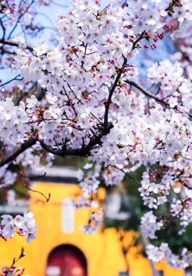 南京是属于哪个省的,南京是现在的哪个城市