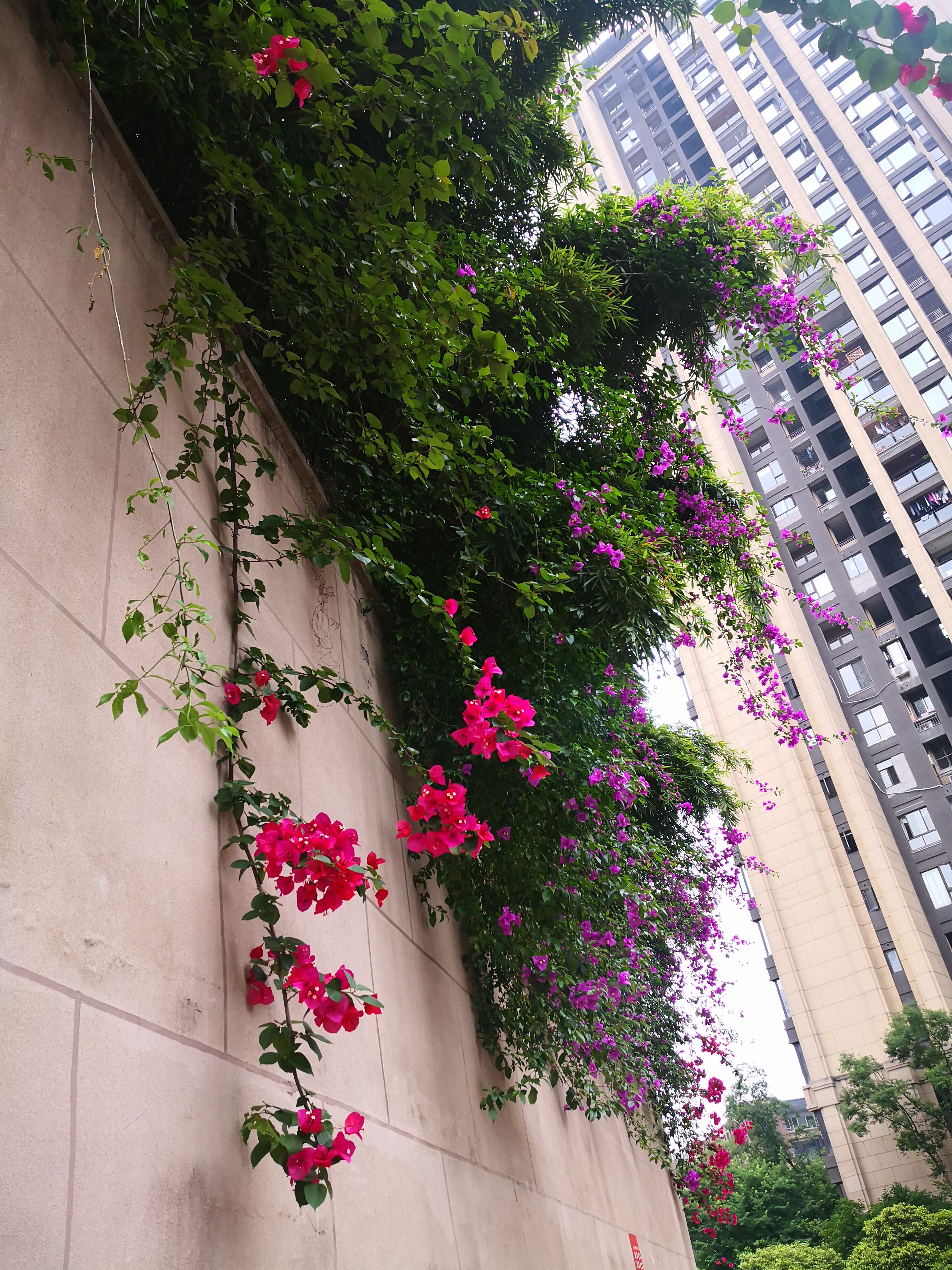 七年和婆婆吵架,跟婆婆吵架了后再怎么跟她相处