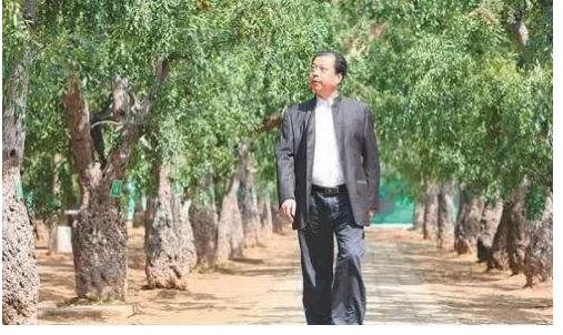 从农民到富豪小说,从农民一步步升官