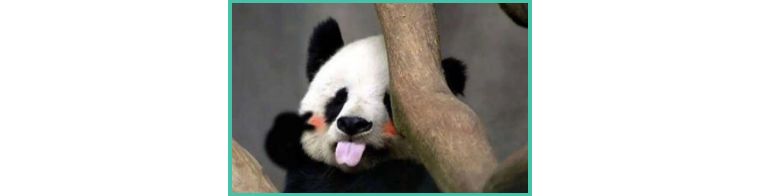 人类表情包视频合集,表情包人类世界