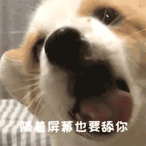 看个大病大概要花多少钱,看个病报销多少