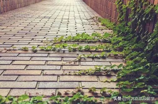 留学千万不要找新东方,留学不要去波士顿的理由