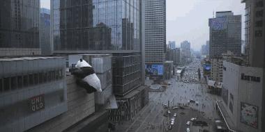 成都旅游远近攻略推荐理由,成都蓉城之秋旅游攻略