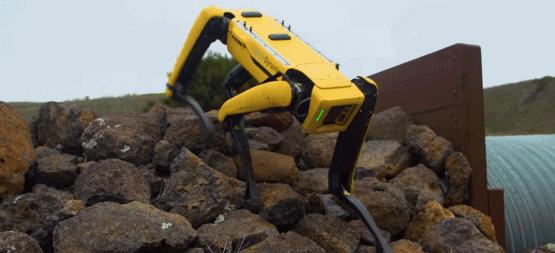 连拆弹、监控、拉黄包车都会，还有什么是这条机器狗不会做的？