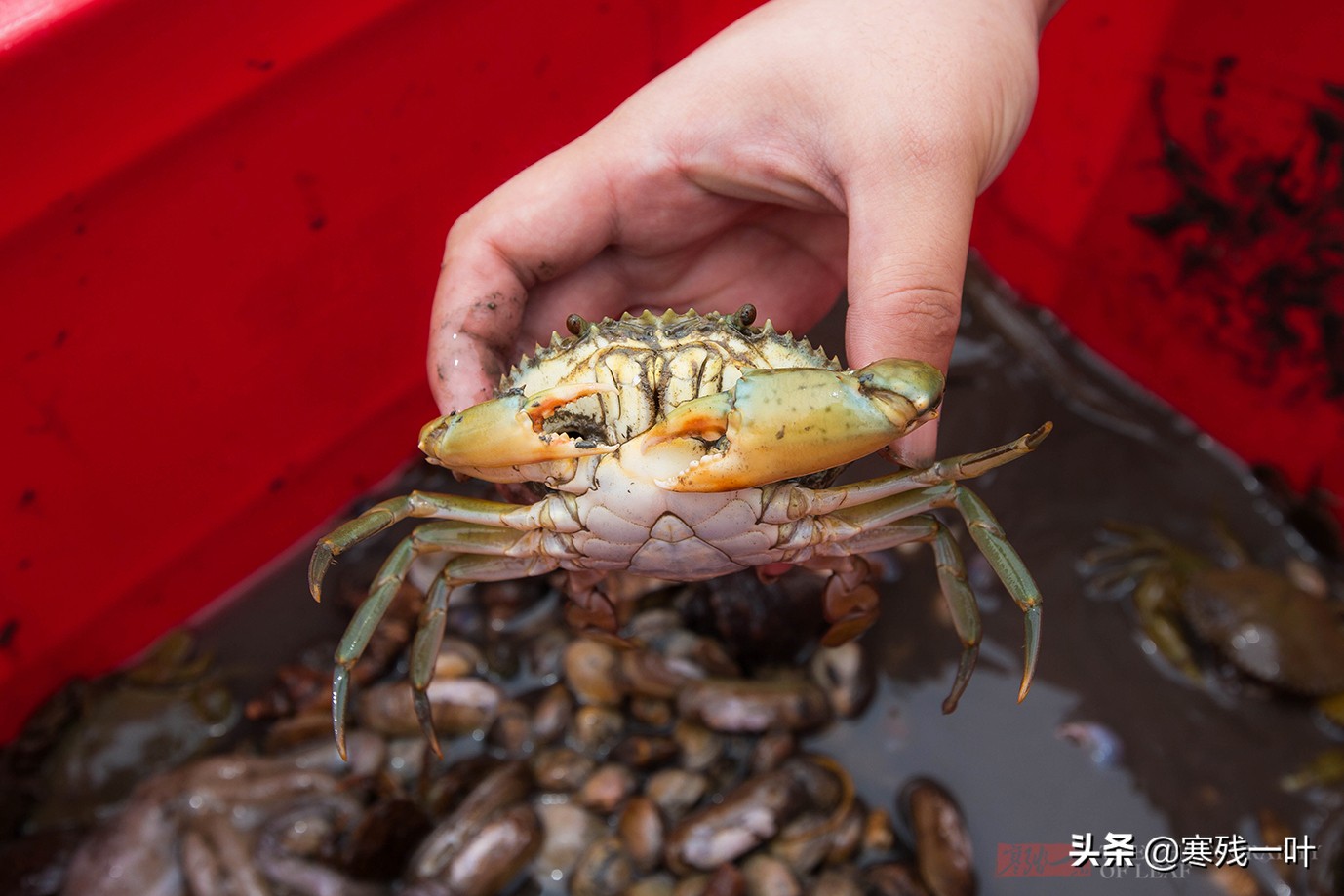 暑假自驾游海边旅游攻略,暑假国内自驾游最佳路线