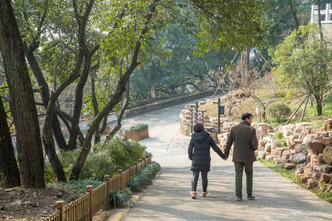 亚洲第一桅杆,当年的亚洲第一高塔