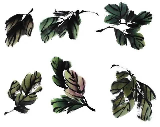 学习写意牡丹画的方法,学习写意牡丹画的步骤