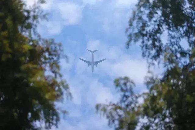 你真的了解宜宾吗,带你了解临港