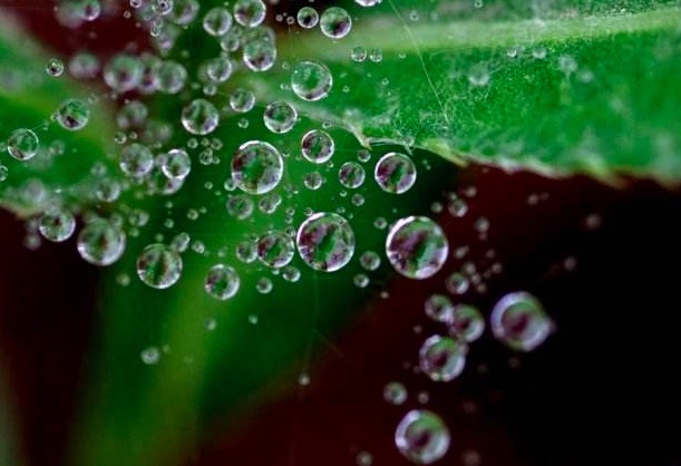 江上的夕阳有多美？白居易这首诗，一开篇就美得令人心醉