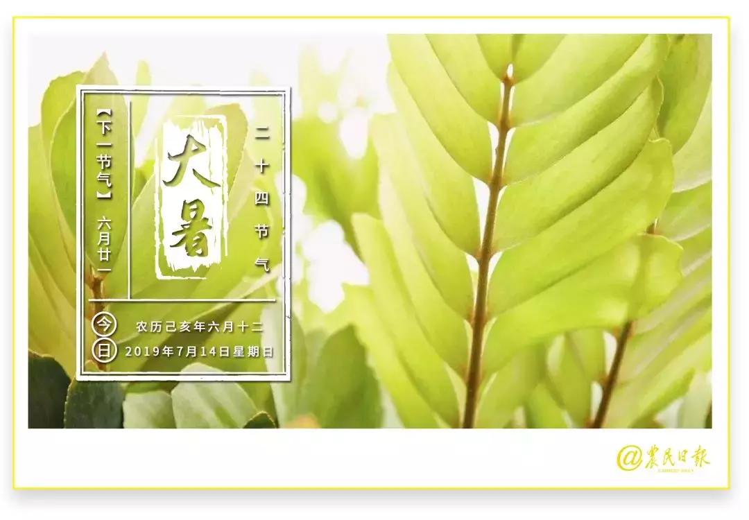 特色种植什么一年能有百万效益,一亩地种植两季投入多少收益多少