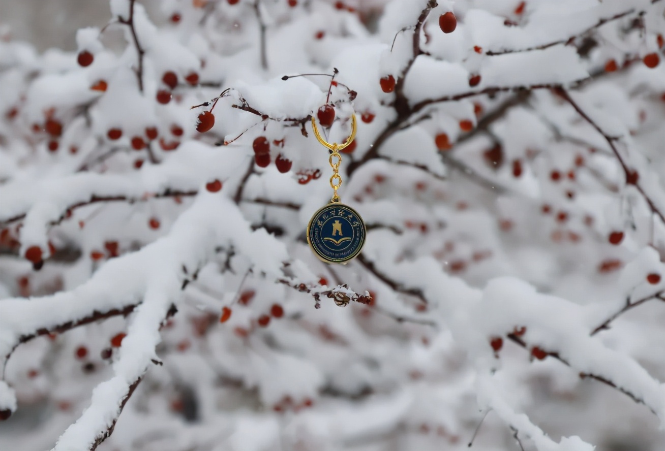 东北财经大学,一所实力不输211的老牌名校