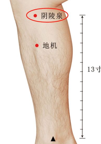 人老腿先衰是精气不足了吗,人老腿先衰诗词