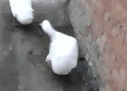 秋冬保湿补水必备,秋冬季节不能少了滋润保湿的步骤