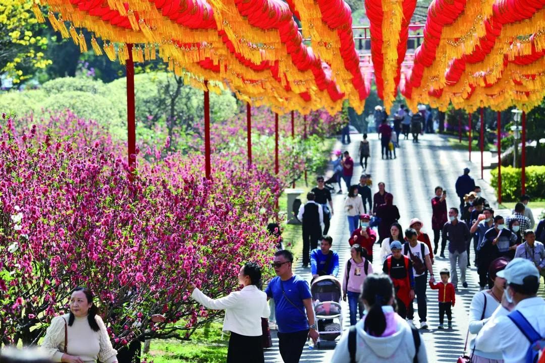 宜居、宜业、宜游......番禺，来过的都说好！