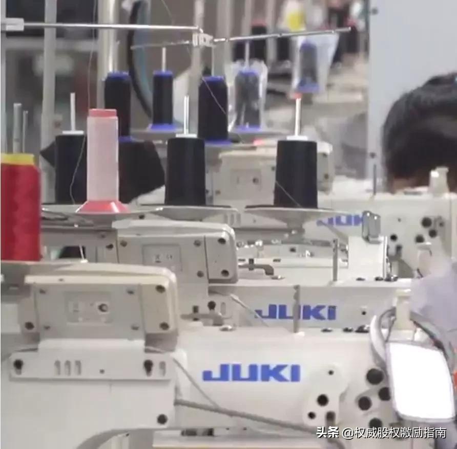 美的、安踏、格兰仕、雅戈尔、福耀玻璃....原来都源于乡镇企业