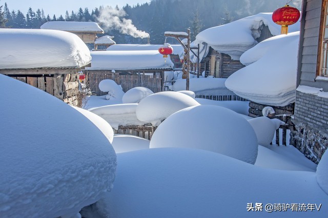 东北民间故事之奇案,东北俗事之林海故事