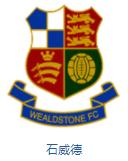 英格兰队徽壁纸,英格兰队徽图片蓝锁